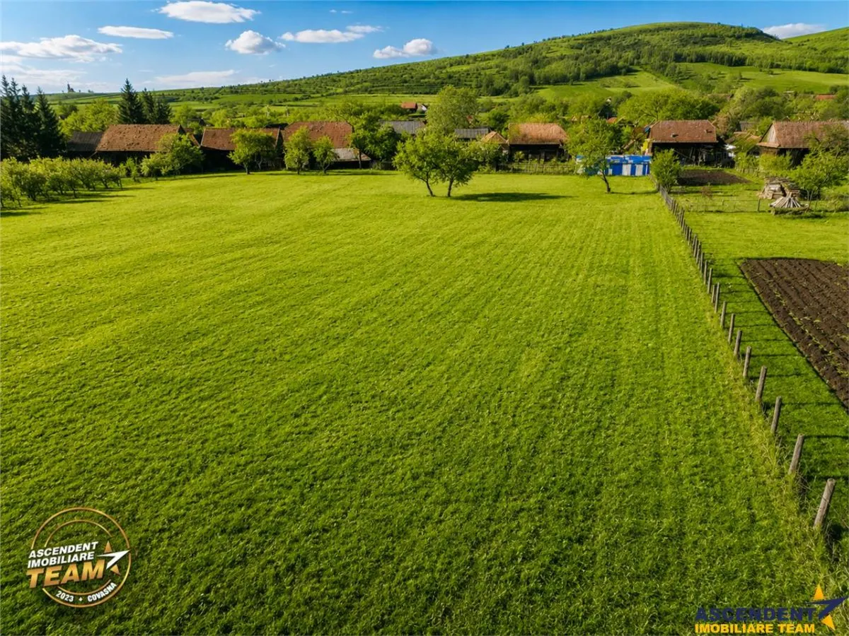 FILM! Casa si anexe, pe domeniu de 6.221mp,  livada pomi fructiferi, Lemnia, Covasna - foto 4