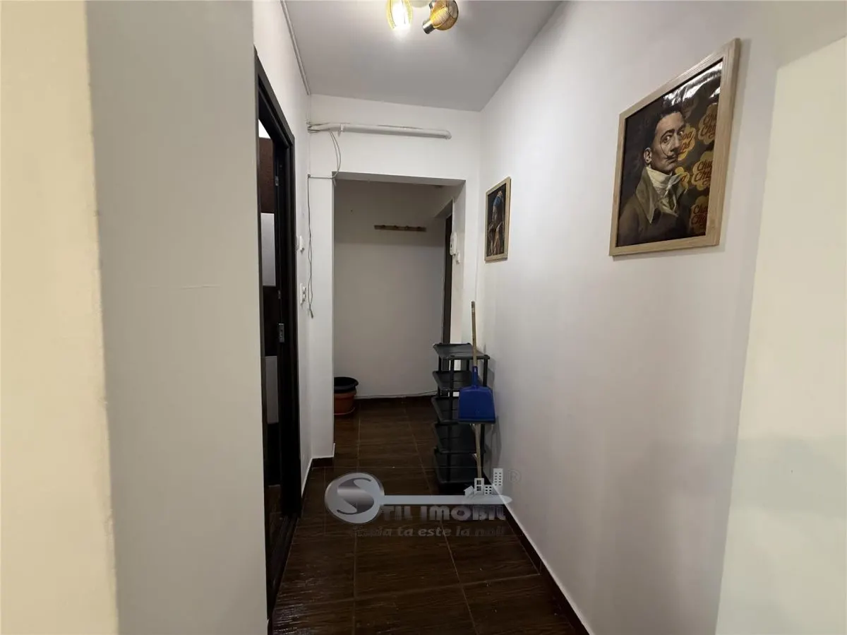 3 CAM ALEXANDRU CEL BUN - foto 7