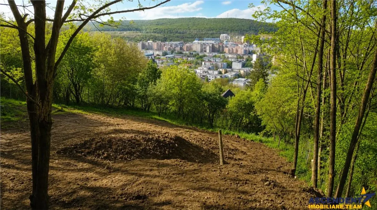 Teren intravilan, Platoul Cornesti, zona premium a orasului, 1.613 mp, oportunitate extindere si facilitati - foto 1