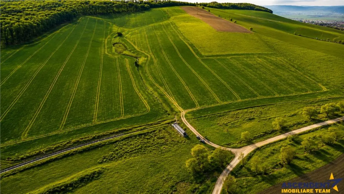 FILM! Portofoliu funciar de exceptie: 23.669 mp eren extravilan Sangiorgiu, Mures - foto 4