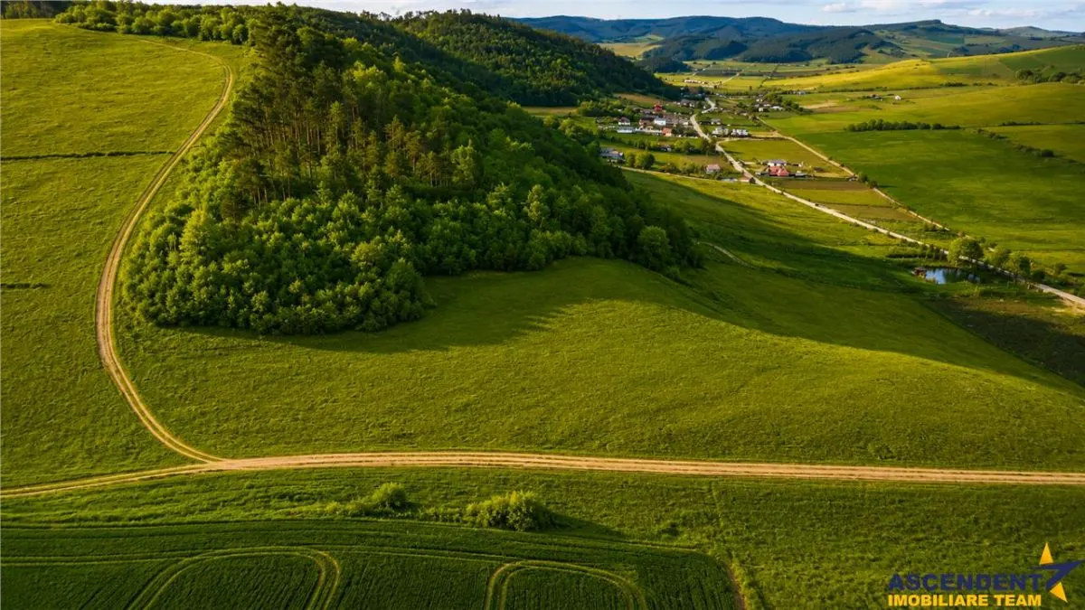 6.000 mp teren granitat de liziera compacta de padure, ecran natural de liniste, view pretios, - foto 1
