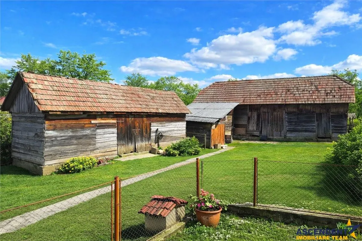 4.300 mp teren, pomicultura +casa traditionala, anexe, Craiesti, Mures - foto 1