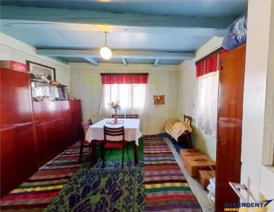 4.300 mp teren, pomicultura +casa traditionala, anexe, Craiesti, Mures - foto 9