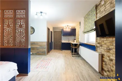 Apartament extins, trei unitati locative cu baie proprie, central, Brasov - foto 19