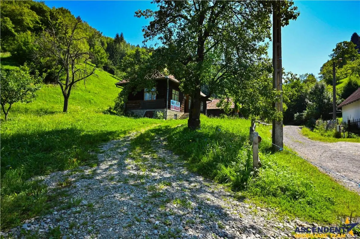 FILM! Casa traditionala pe domeniu de 4.300mp teren, Bran - Simon, Brasov - foto 8