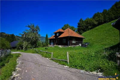 FILM! Casa traditionala pe domeniu de 4.300mp teren, Bran - Simon, Brasov - foto 9